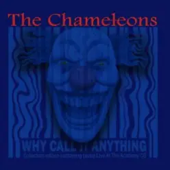 The Chameleons - Indiana