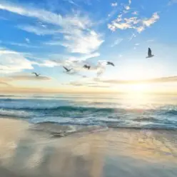 unknown - Шум моря, релакс