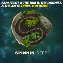 Sam Feldt & The Him ft. The Donnies The Amys - Drive You Home (Original Mix)