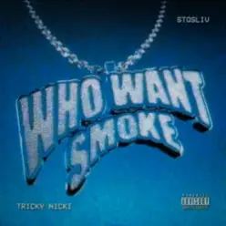 Tricky Nicki & STOSLIV — Who Want Smoke?