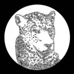 Tensnake — Need Your Lovin