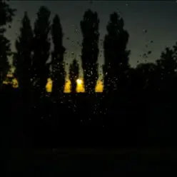 ALEKCION — І я біжу