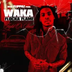 Waka Flocka Flame — Introduction Fight
