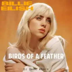 Billie Eilish — Birds Of A Feather