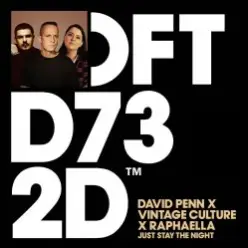 David Penn & Raphaella & Vintage Culture - Just Stay The Night