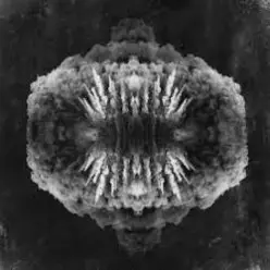 Owl Vision — Draug