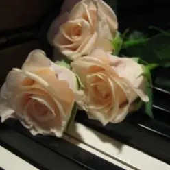 Василь Котович — Я ніколи нікому тебе не віддам