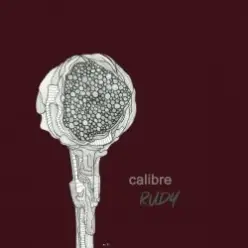 Calibre — The game