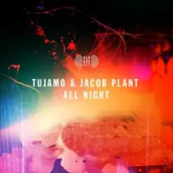 Tujamo, Jacob Plant - All Night (Original Mix)