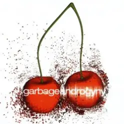 Garbage — Androgyny
