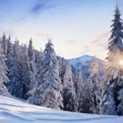 Y.K. MUSIC — ОЙ, КАРПАТИ - БІЛІ ШАТИ