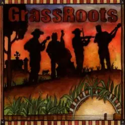 The Grassmasters — Cold Rain And Snow