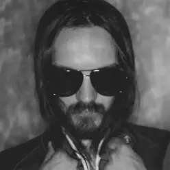 Limewax — Everything