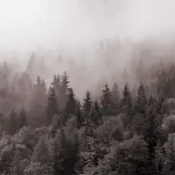 Y.K. Music — У Тумані