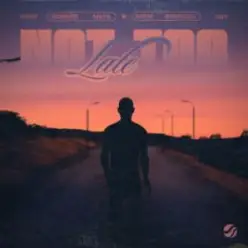 Edward Maya & Adem Bogoceli — Not Too Late