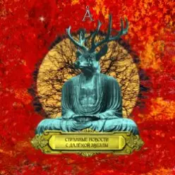 Аквариум — Все Кошки Серы