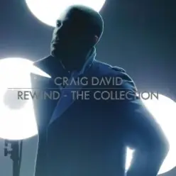 Craig David & Sting — Rise And Fall