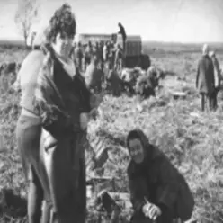 AGROBOGER — Голова колгоспу