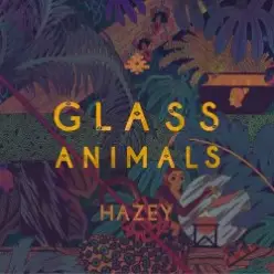 Glass Animals — Hazey