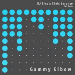 Dj Zinc — Gammy Elbow