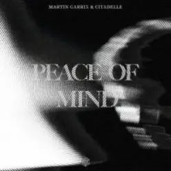 Martin Garrix & Citadelle — Peace Of Mind