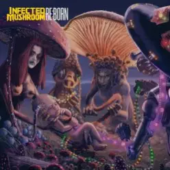 Infected Mushroom — Z.16 Open