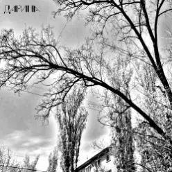 TheNobleMan — фантазия