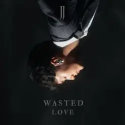 JJ — Wasted Love