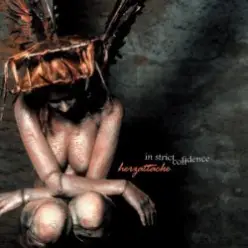 In Strict Confidence — Into Ashes