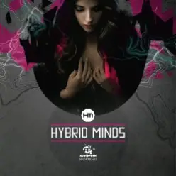 Hybrid Minds — I'm Through