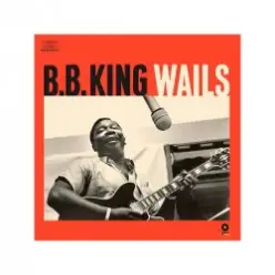 B.B. King - Rusty Dusty Blues