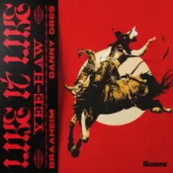 Braaheim & Danny Ores - Like It Like (Yee-Haw)