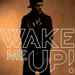 Avicii feat. Aloe Blacc — Wake Me Up