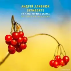 Бумбокс — Ой У Лузі Червона Калина