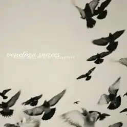 Venetian Snares — Swindon