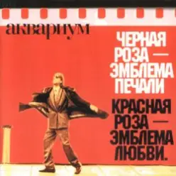 Аквариум — Рыбаки обсуждают закат солнца