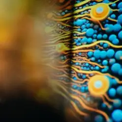 Joris Voorn — Tomorrow