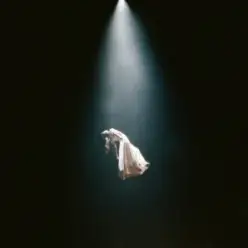 Ariana Grande — dandelion