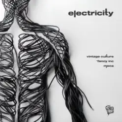 Vintage Culture, Fancy Inc, Meca — Electricity