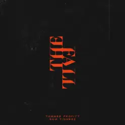 Tommee Profitt & Sam Tinnesz - Daylight