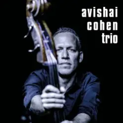 Avishai Cohen - Shuffle