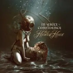 In Strict Confidence — Time (Extended Version)