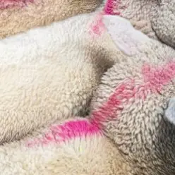 Blawan — Done Eclipse (Mixed)