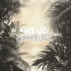 Repsaj — MONTAGEM CONTIGO (Slowed)