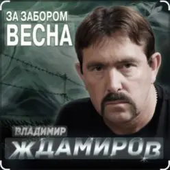 Владимир Ждамиров — За забором весна