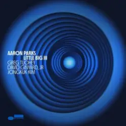 Aaron Parks — Flyways
