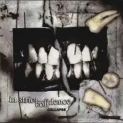 In Strict Confidence - Hero (Aghast View Remix)