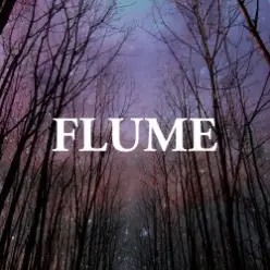 Flume — Sleepless (Feat. Anthony For Cleopatra)