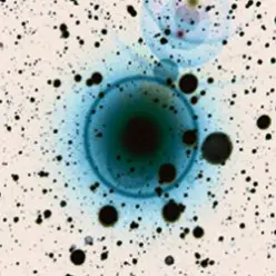 Zero 7 — Monday Night