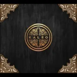Kaleo — Rock 'n' Roller